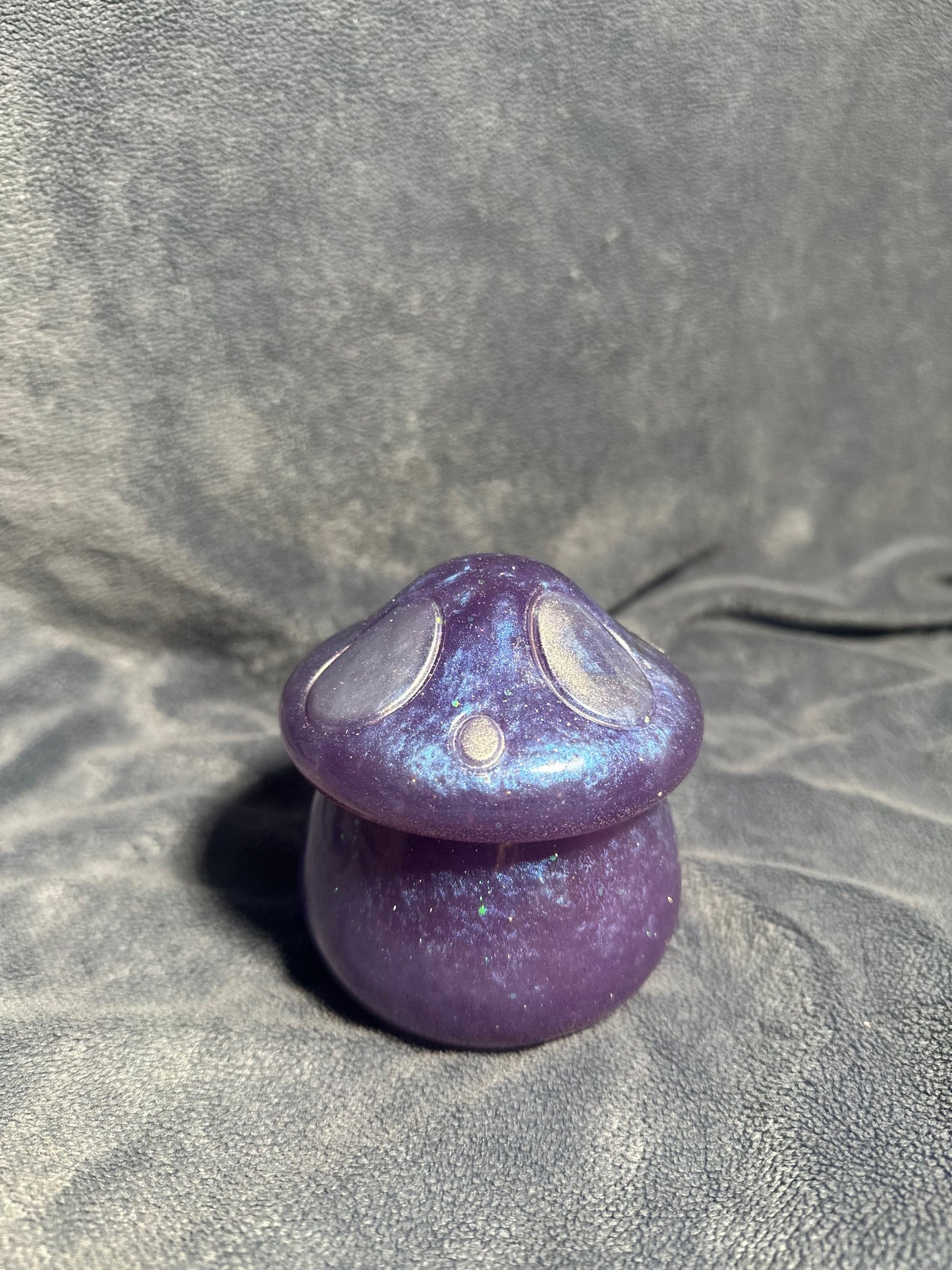 Mushroom Stash Jar (ready to ship)